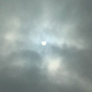 Meet your Posher, Liz